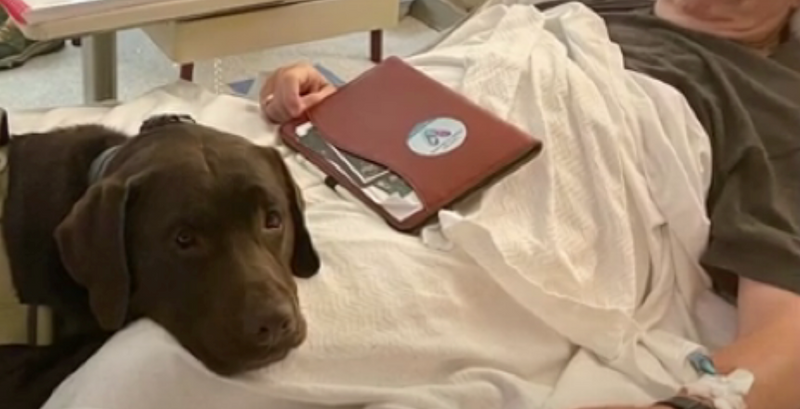 Four Surgeries. Suicidal Thoughts. Then Zamp Didn't Leave His Side.