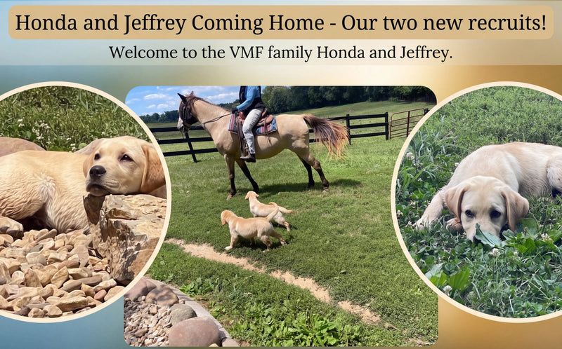 Meet Honda and Jeffrey — Two New Recruits Join the Mission