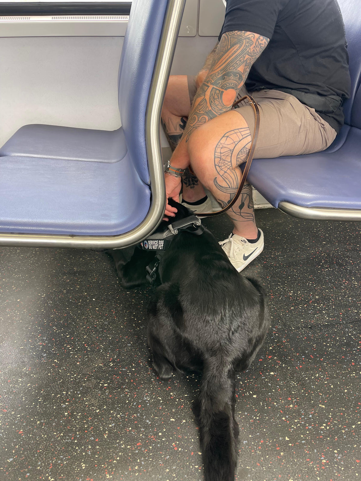 Resting between metro seats — calm in a moving vehicle