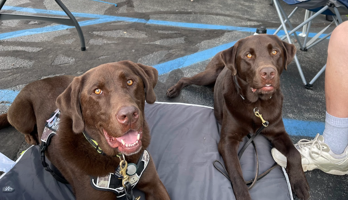 Clay (placed 2023) and Stan (in training) · Pennsylvania · July 2026