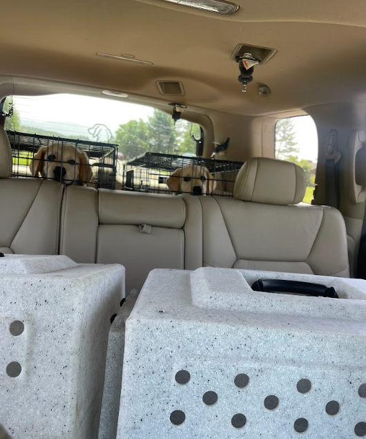 Honda and Jeffrey on their way home · VMF · July 2026