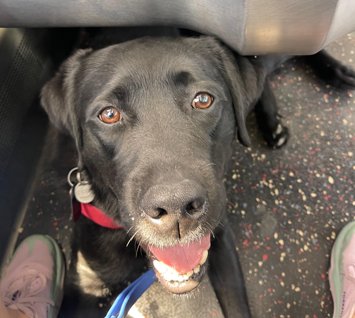 Small after training — ready for what comes next