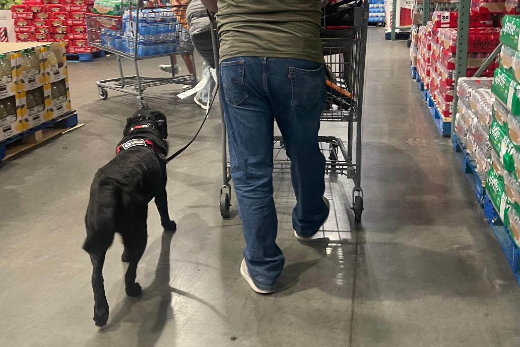 Public access training · grocery store environment
