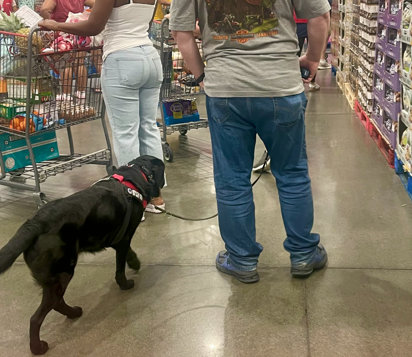 This is what the mission looks like when it is complete. A veteran who needed her. A dog who was ready. Two years of training — and a partnership that will last a lifetime.
