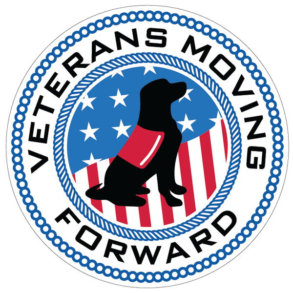 Professional Trainers Prepare The Dog