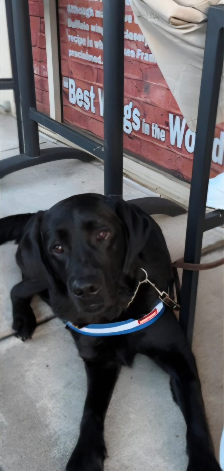 CJ resting at the VMF fundraiser · June 2026